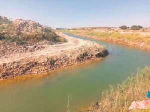 Kinders in gevaar, sê Bronville