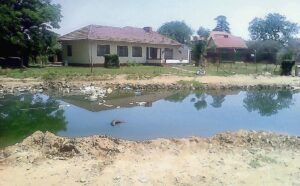 Riool dam op voor huise