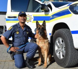 Vrystaatse K9 SAPD-veldtog vir geskikte honde