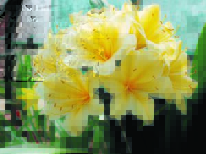 Green thumbs may take part