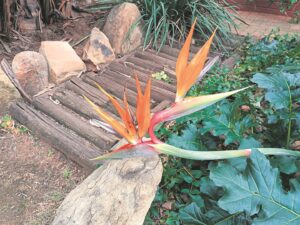 Deserving of reverence