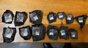 Police track down suspected drug dealer with Operation Vala uMgodi