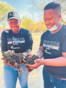Students wiggle with worms for food security