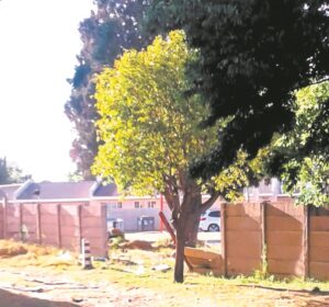 Neglect of flats unacceptable