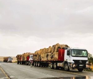 AfriForum en Winburgse landbou-unie span kragte saam: Verlig nood ná verwoestende brande