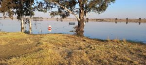 Talle swemmers trotseer yswater