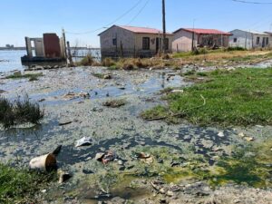 Rioolwater oorstroom huise langs Voëlpan in Nyakallong by Allanridge