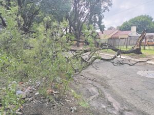 Buig knie voor natuur se brute krag
