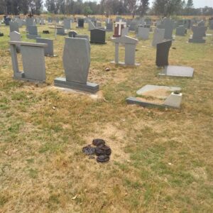 Agteruitgang in stad duur voort