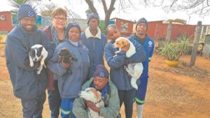 Animals desperately in need of support