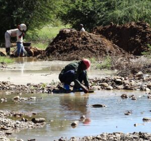 Police arrest 37 zama zamas in Allanridge