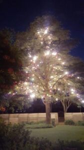 Liggiefees bring Kersfees-gevoel na dorp