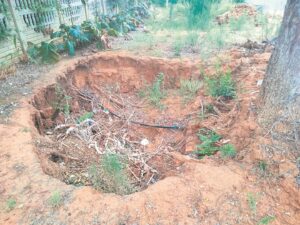 Goudveld-dienslewering stel teleurDienslewering uiters swak in die Goudveld