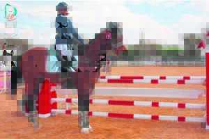 Equestrian aces national challenges
