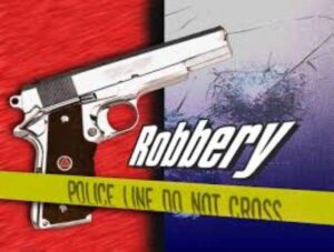 Robbers take off with loot