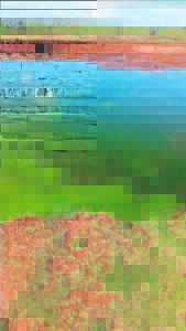 Young life cut short