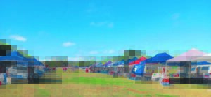 Embracing bold, new changes