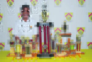 Succeeds in setting the standard