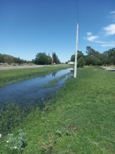 Municipality held liable for lack of timely repairs