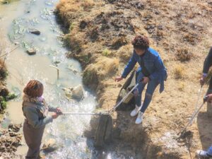 DWS en vennote maak Sandrivier skoon