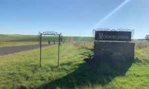 FS marathon makes its annual return