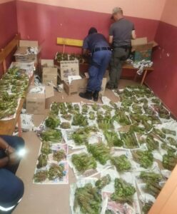 Truck driver arrested near Ventersburg for the posession of Khat