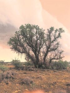Bied voorskou van hewige storm
