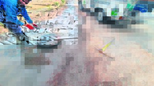 Groep vat probleem vas