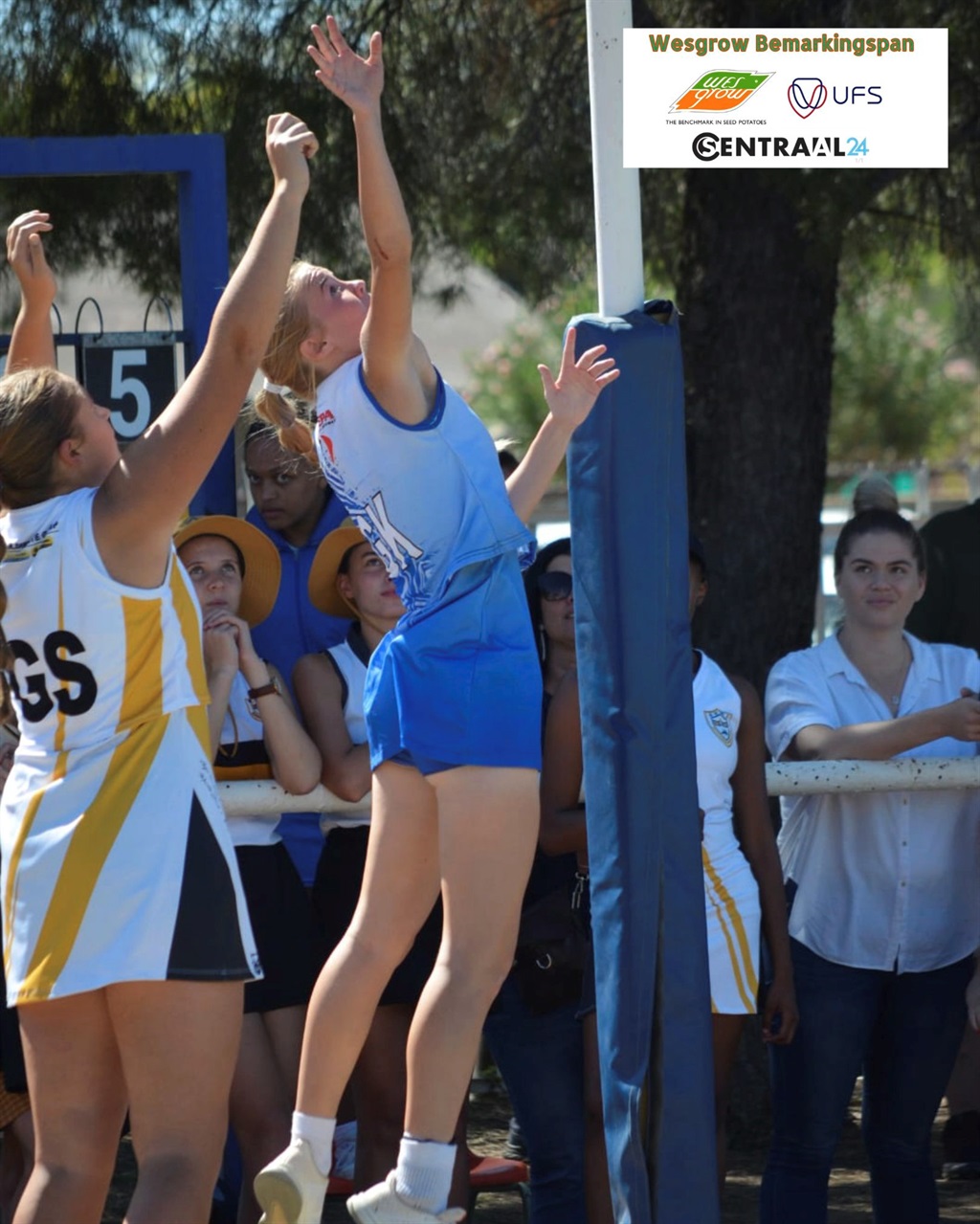 netbal