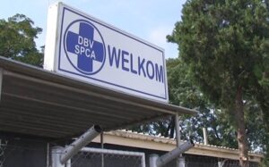 Welkom SPCA now forced to close its doors