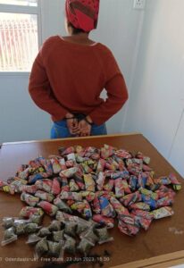 Odendaalsrus police crack down on drug houses