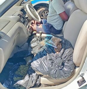 Polisie slaan slag teen dwelms met optrede