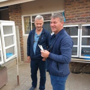 Toprollerduiwe in VS te vinde