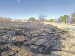 Causing a spread of panic