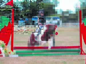 Skitter in perdesport