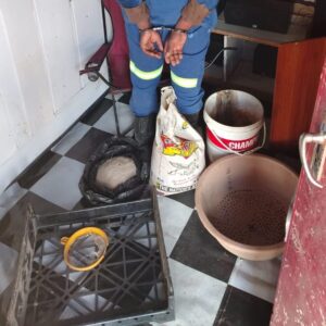 Disruptive actions cause quite a stir