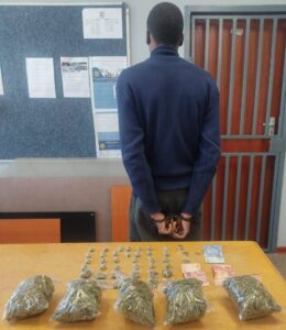 Welkom siblings involved in drug dealing investigation