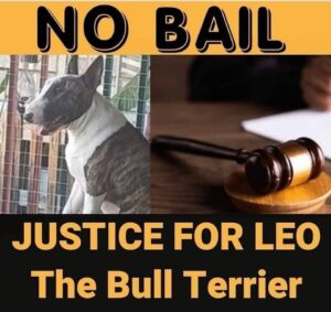 Hofsaak van pastoor: Gemoedere loop hoog