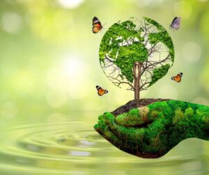 Vergiftig jou skoonheids- en persoonlike sorgprodukte die omgewing en jou vel?