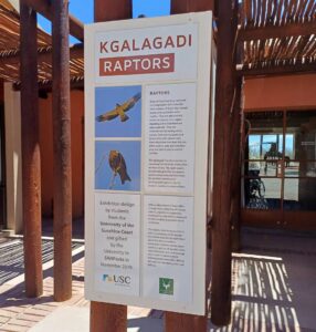 New display gives insight on Kalahari raptors