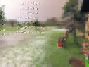 Siedende storm saai skade in Goudveld