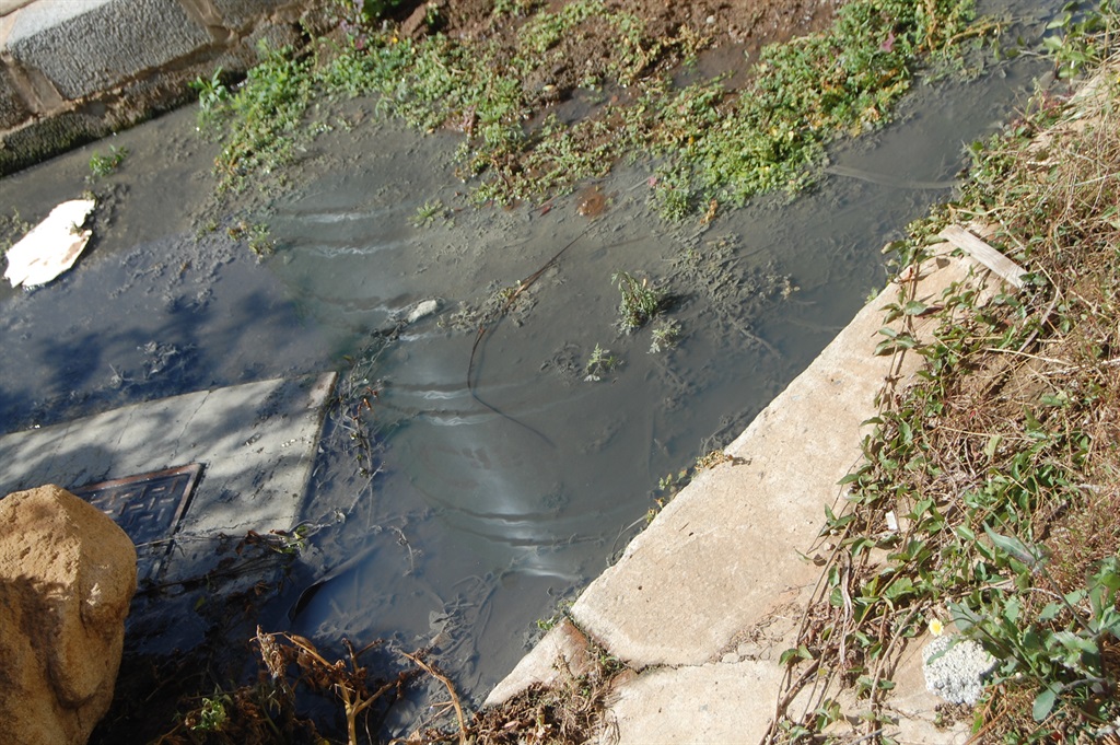 ’n Inwoner van Azaleastraat in Riebeeckstad, Frans