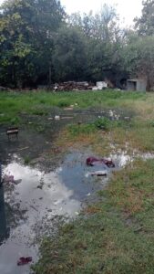 Non-service leaves city fragile