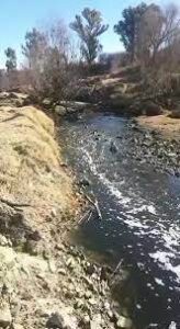 AfriForum se regrukplan vir Bothaville onderweg