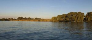 Cholera detected in Welkom water supply