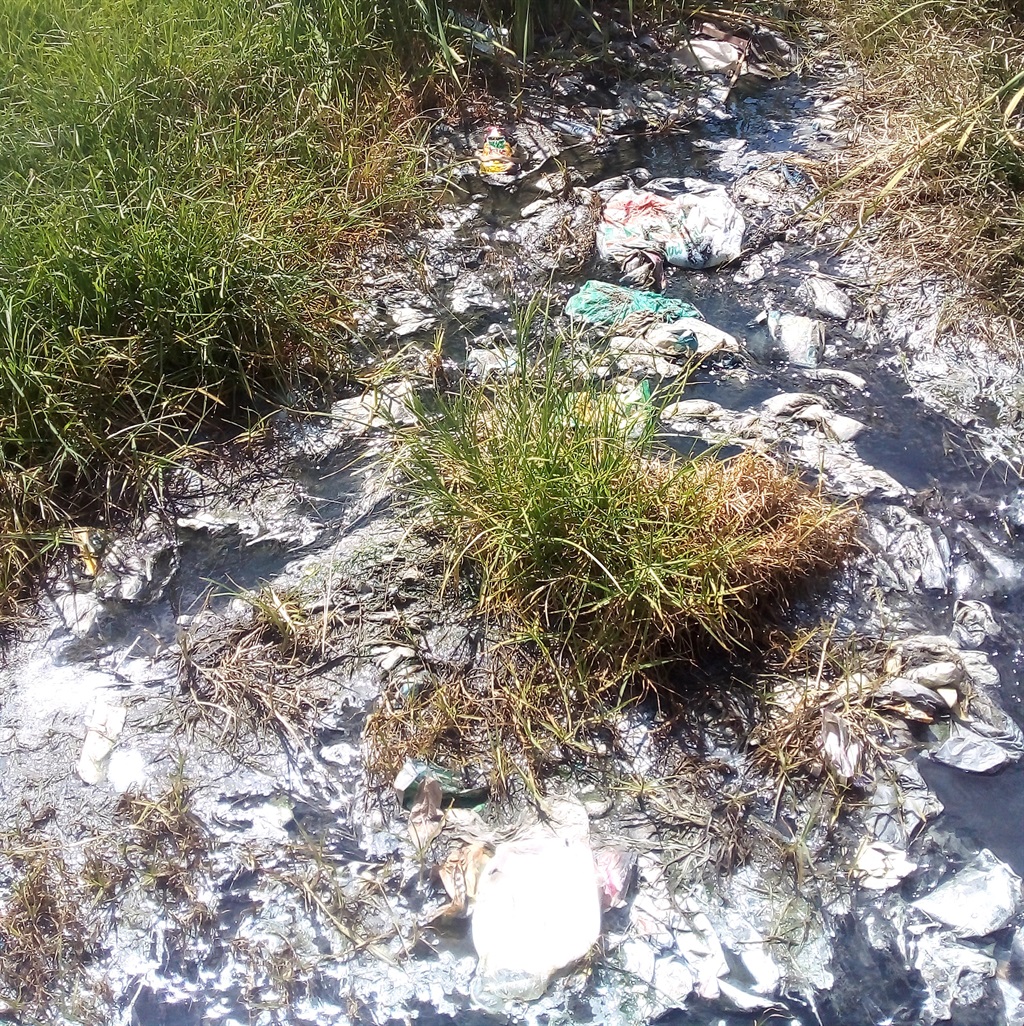 Children who stay in the area near the schools try