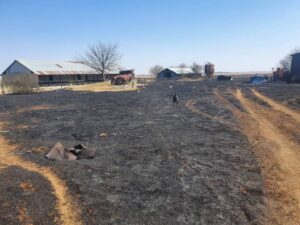 Veldbrand-chaos laat drie in hospitaal beland