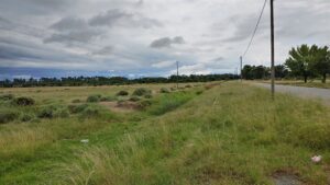 Mayor thwarts land grab