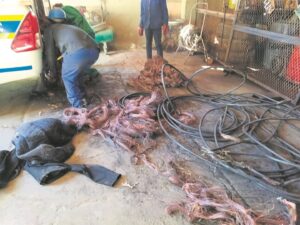 Stolen copper cable recovered