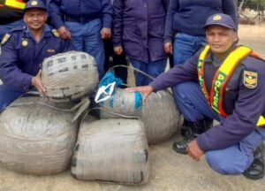 Two suspects with dagga worth R60 000 arrested